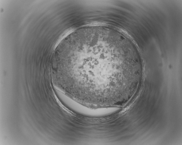 X0000053011425200507291656