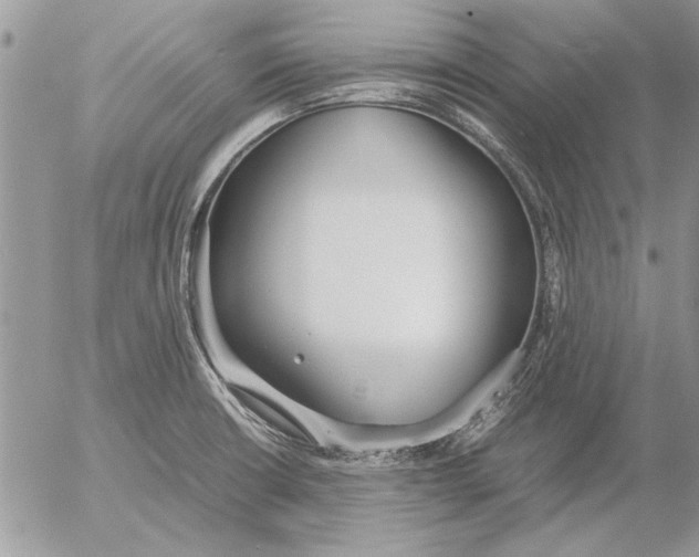 X0000053011426200507291656