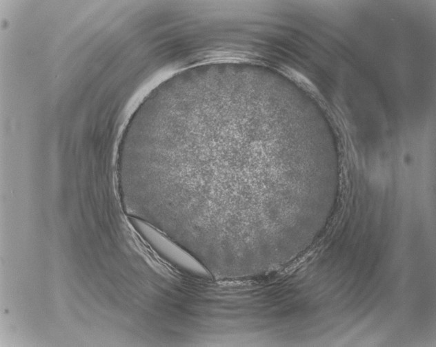 X0000053011427200507291656