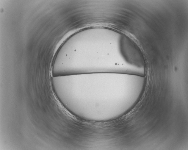 X0000053011428200507291656