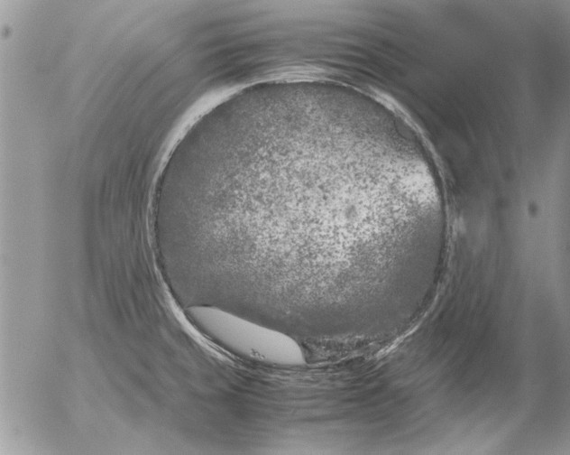 X0000053011429200507291656