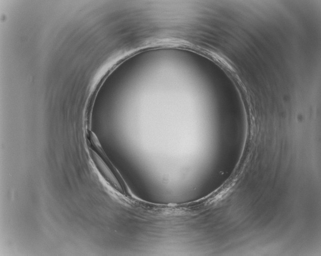 X0000053011430200507291656