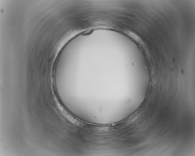 X0000053011431200507291656