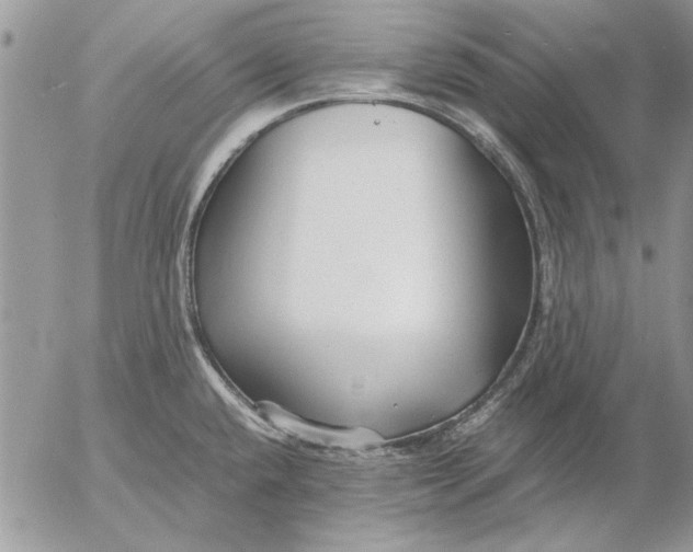 X0000053011432200507291656