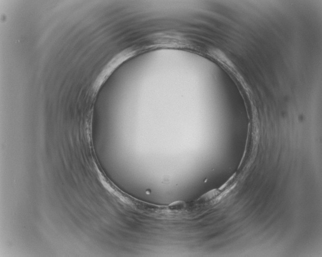 X0000053011433200507291656