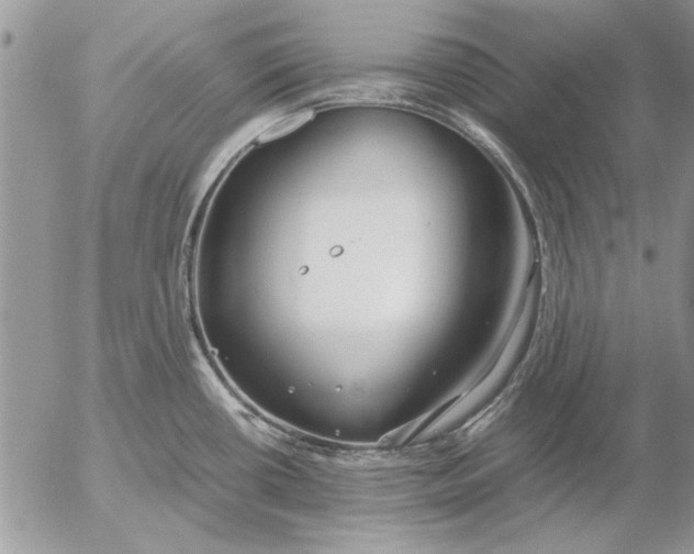 X0000053011434200507291656