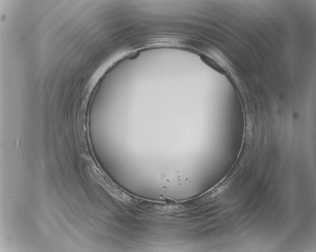 X0000053011435200507291656