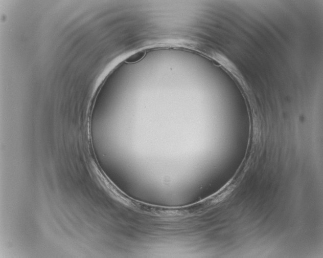 X0000053011436200507291656