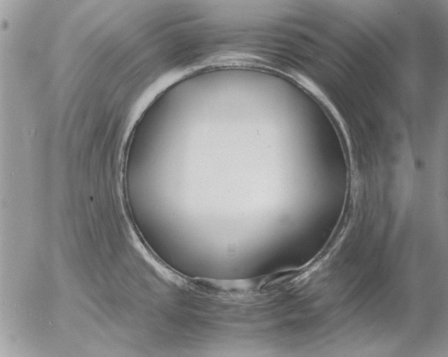 X0000053011437200507291656