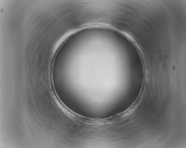 X0000053011438200507291656