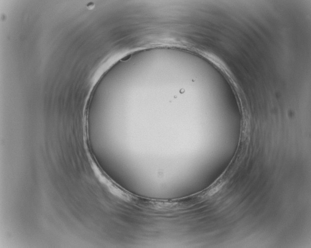 X0000053011439200507291656