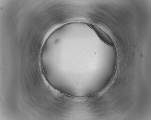 X0000053011440200507291656