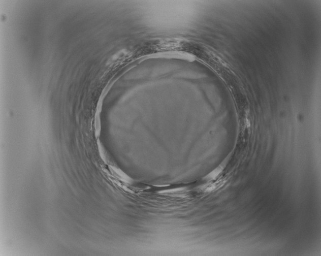 X0000053011441200507291656