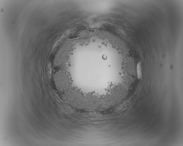 X0000053011443200507291656