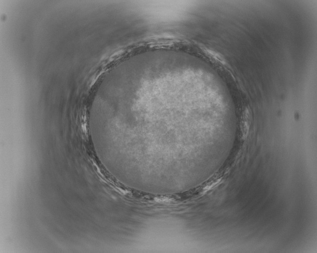 X0000053011445200507291656