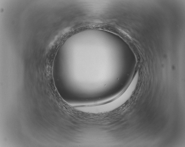 X0000053011447200507291656