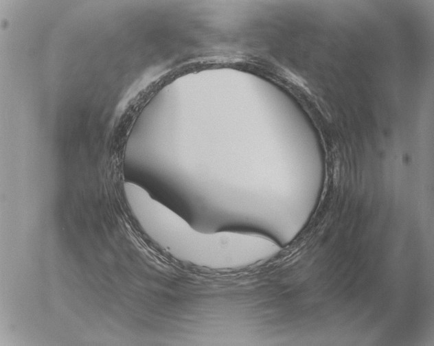 X0000053011448200507291656