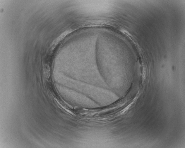 X0000053011449200507291656