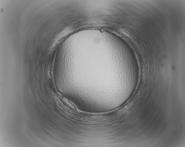 X0000053011451200507291656