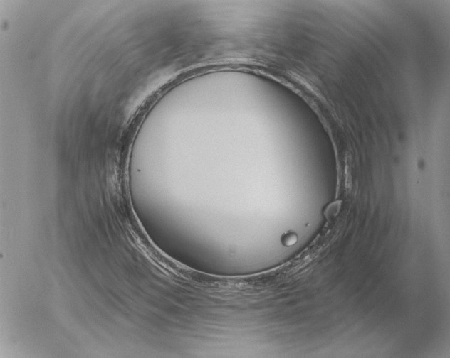 X0000053011452200507291656