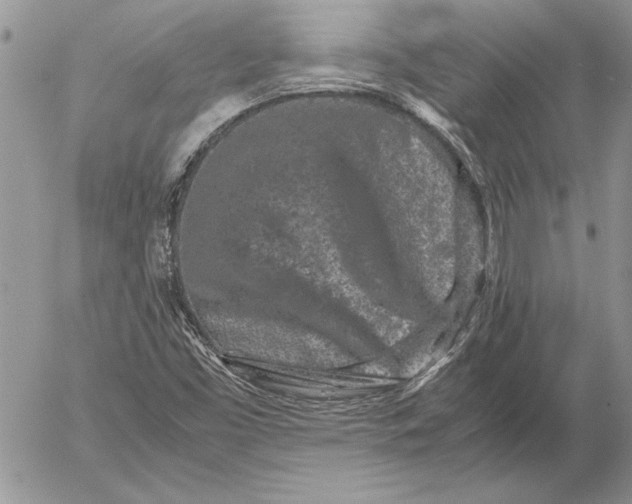 X0000053011453200507291655