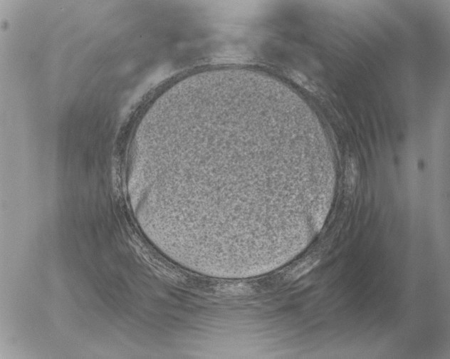 X0000053011454200507291655