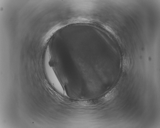 X0000053011455200507291655