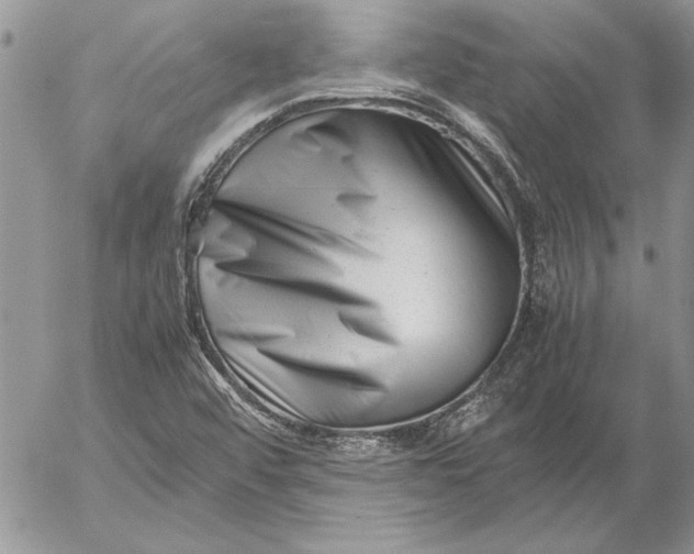 X0000053011456200507291655