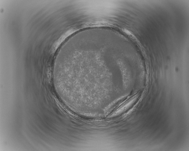 X0000053011457200507291655