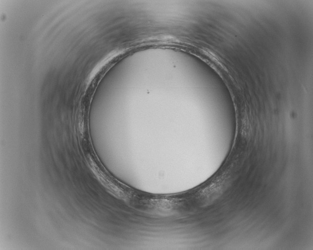 X0000053011458200507291655