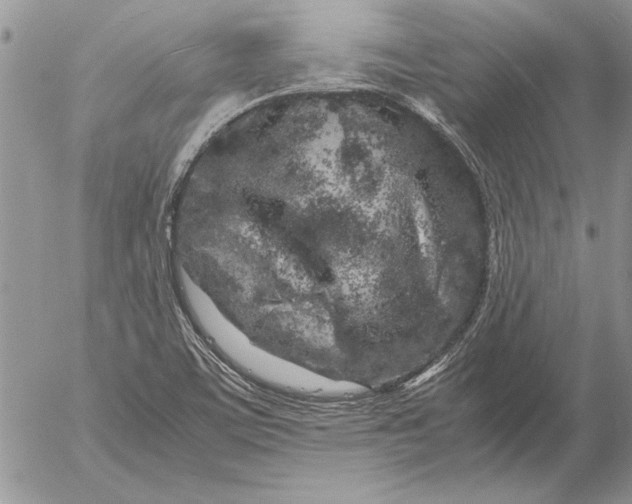 X0000053011459200507291655