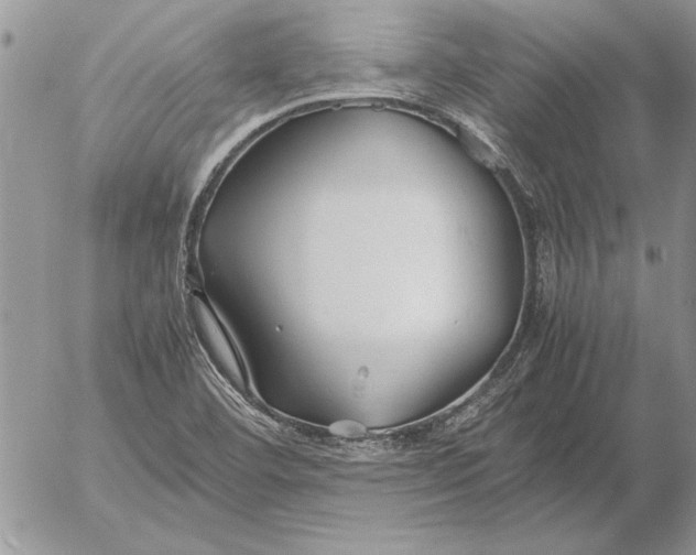 X0000053011460200507291655