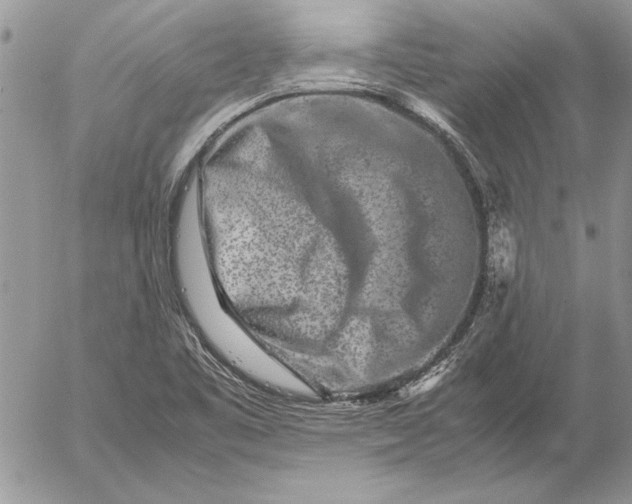 X0000053011461200507291655