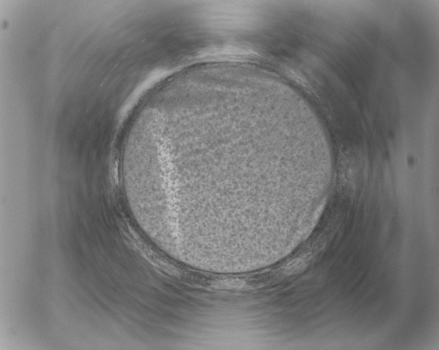 X0000053011462200507291655