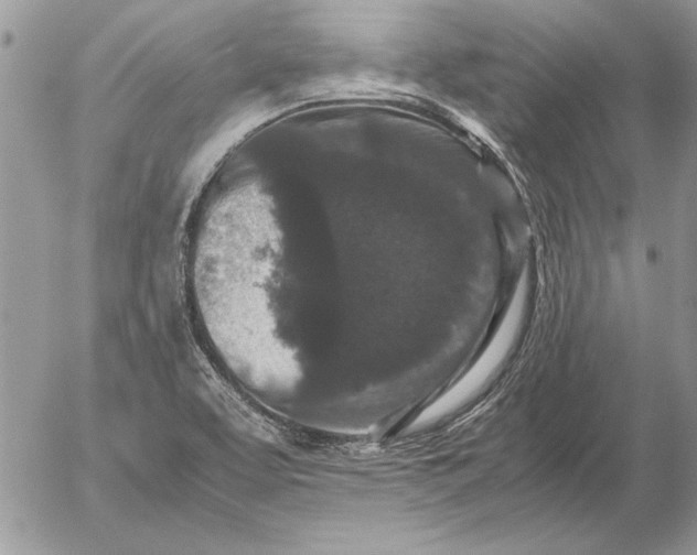 X0000053011463200507291655