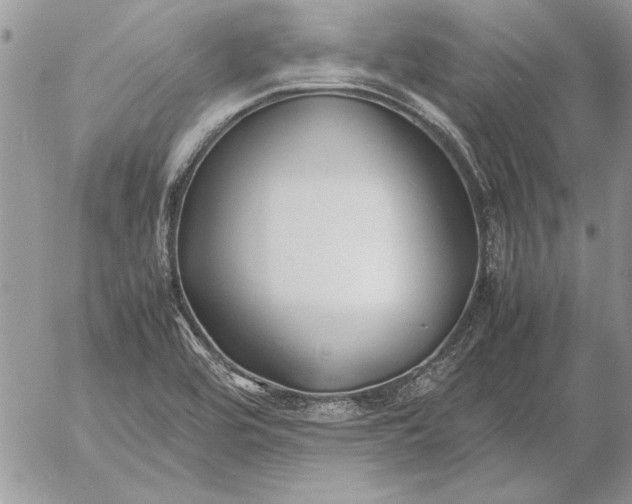 X0000053011464200507291655