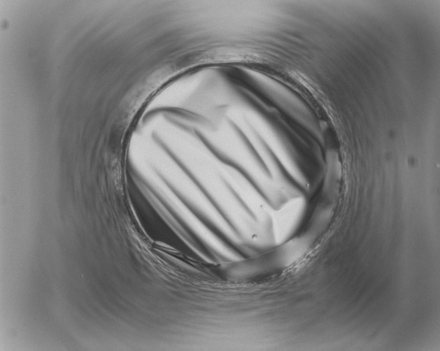 X0000053011465200507291655