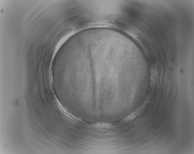 X0000053011466200507291655