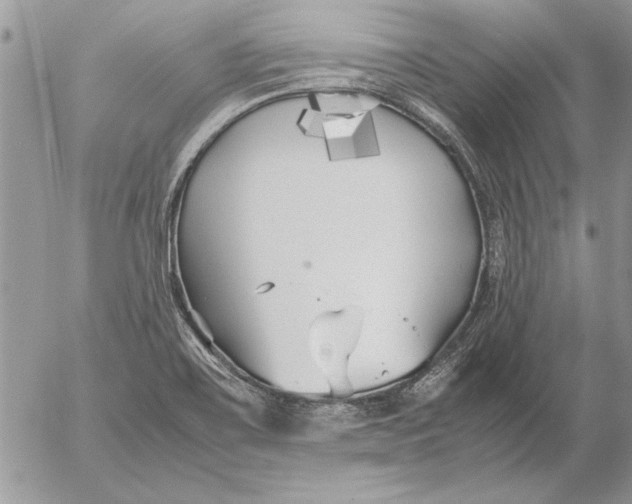 X0000053011467200507291655