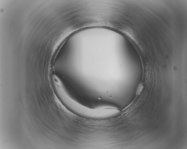 X0000053011468200507291655