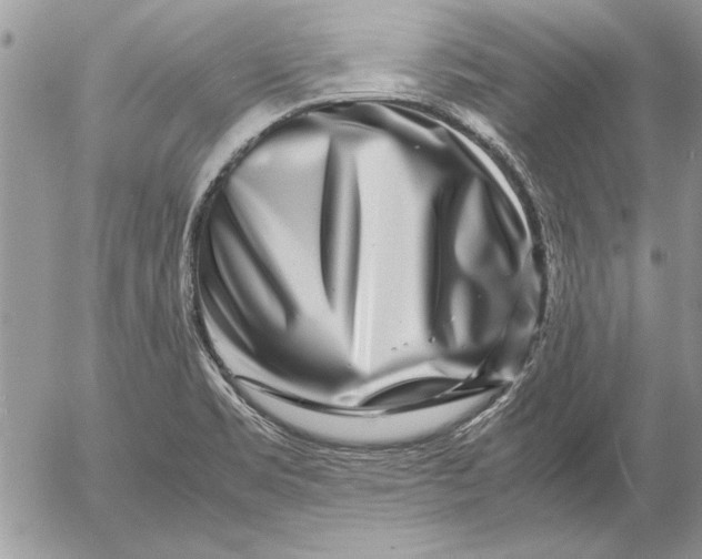 X0000053011469200507291655