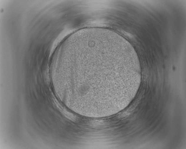 X0000053011470200507291655