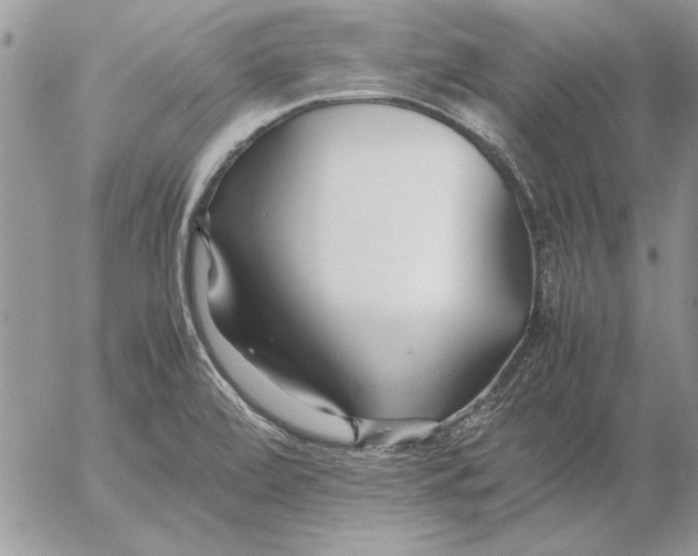 X0000053011472200507291655