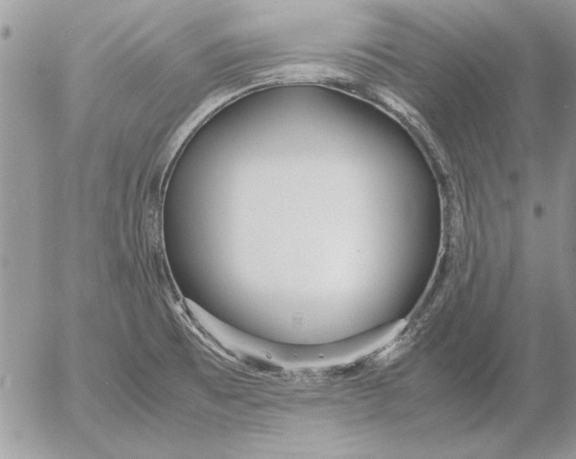 X0000053011473200507291655