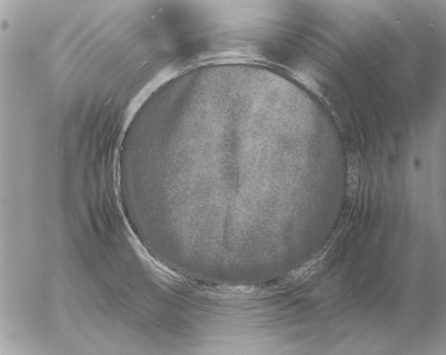 X0000053011474200507291655