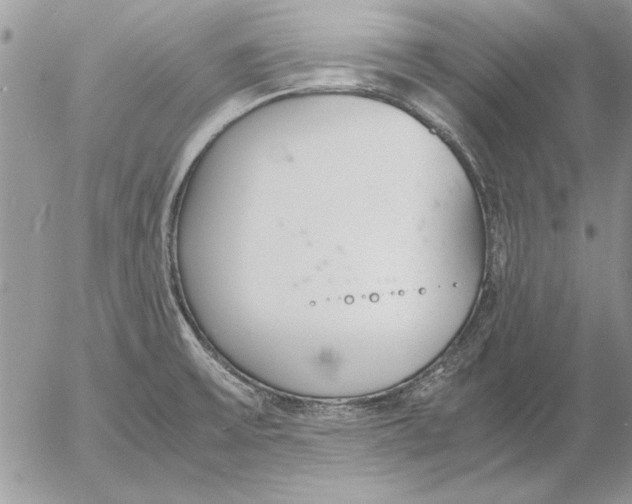 X0000053011475200507291655