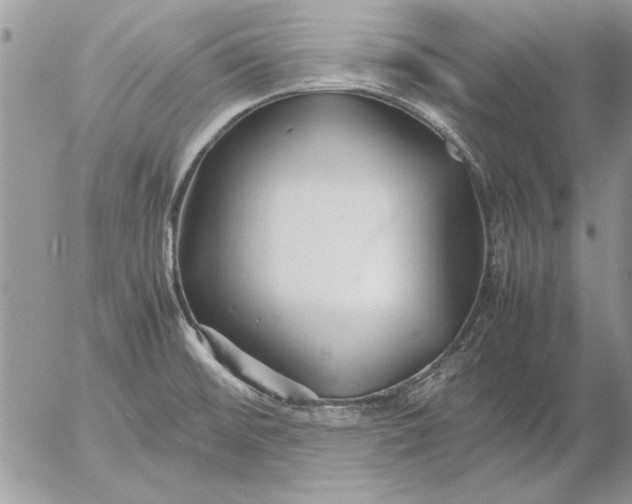 X0000053011476200507291655