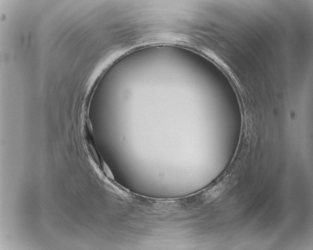 X0000053011477200507291655