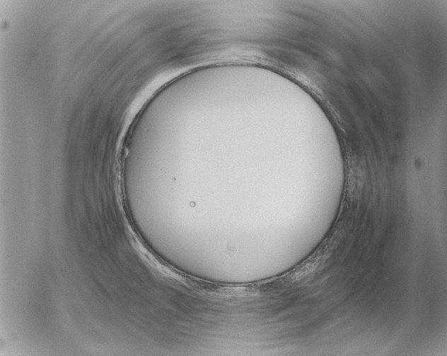 X0000053011478200507291655