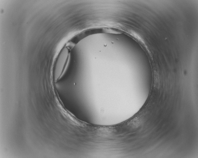 X0000053011480200507291655